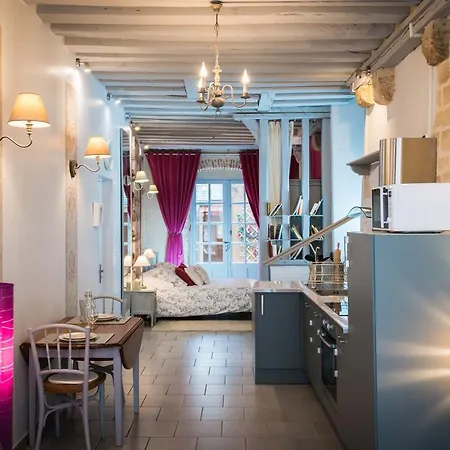 Appartement Le Nid De La Loire à Blois Extérieur photo