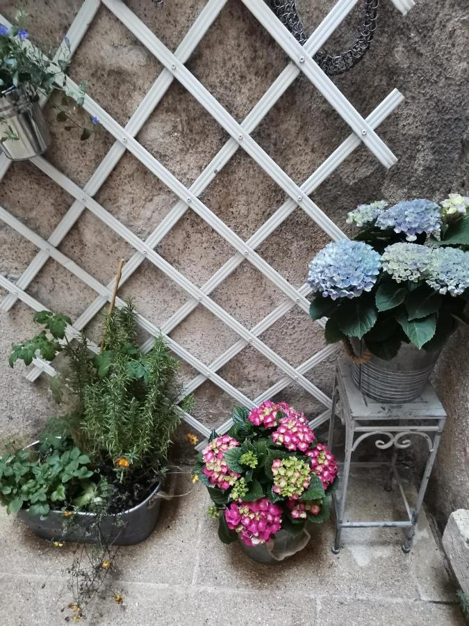 Le Nid De La Loire * Blois